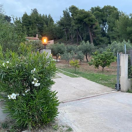 Askalosia Villa Agios Georgios (Istiaia-Aidipsos) Exterior foto