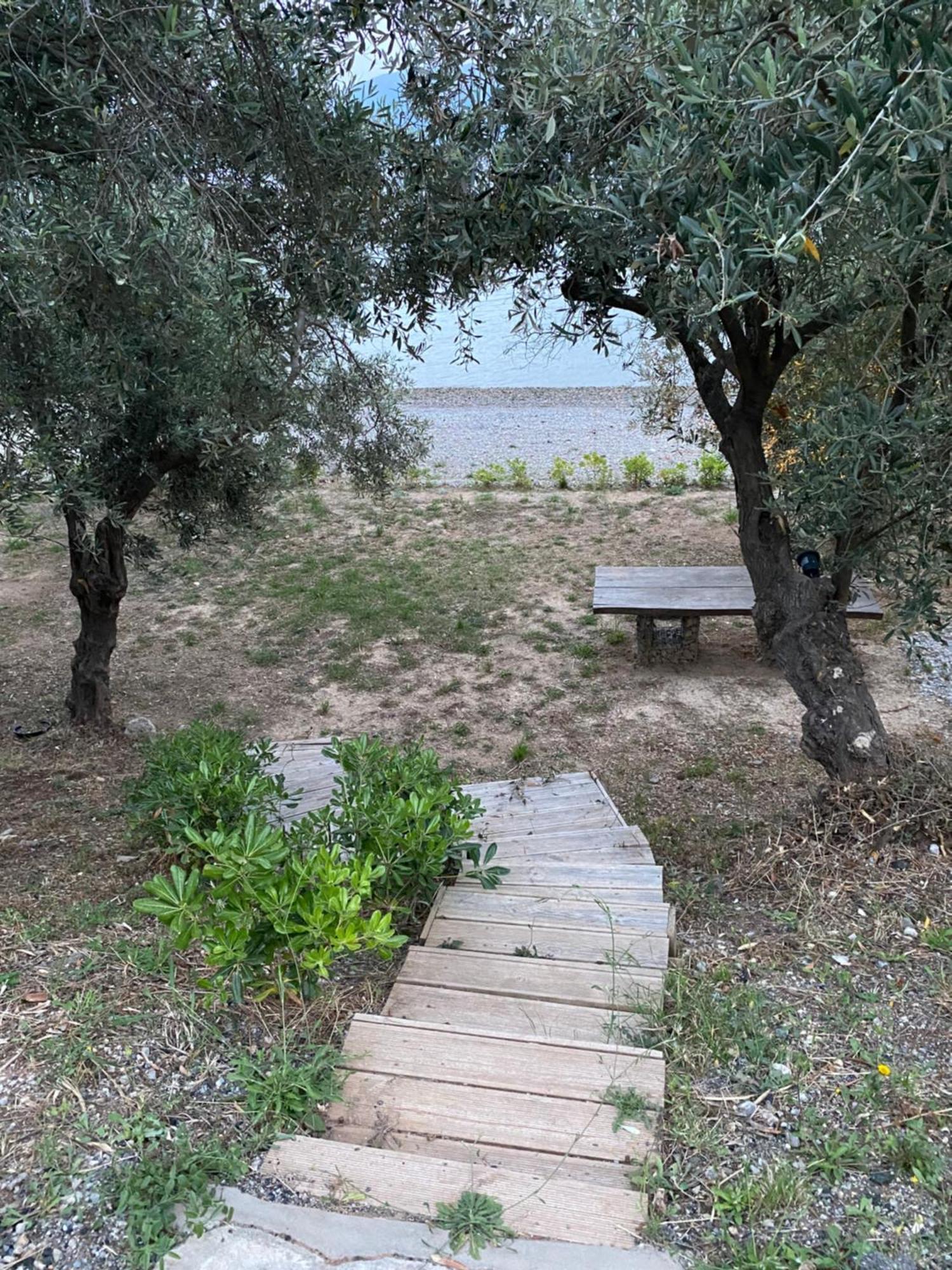Askalosia Villa Agios Georgios (Istiaia-Aidipsos) Exterior foto