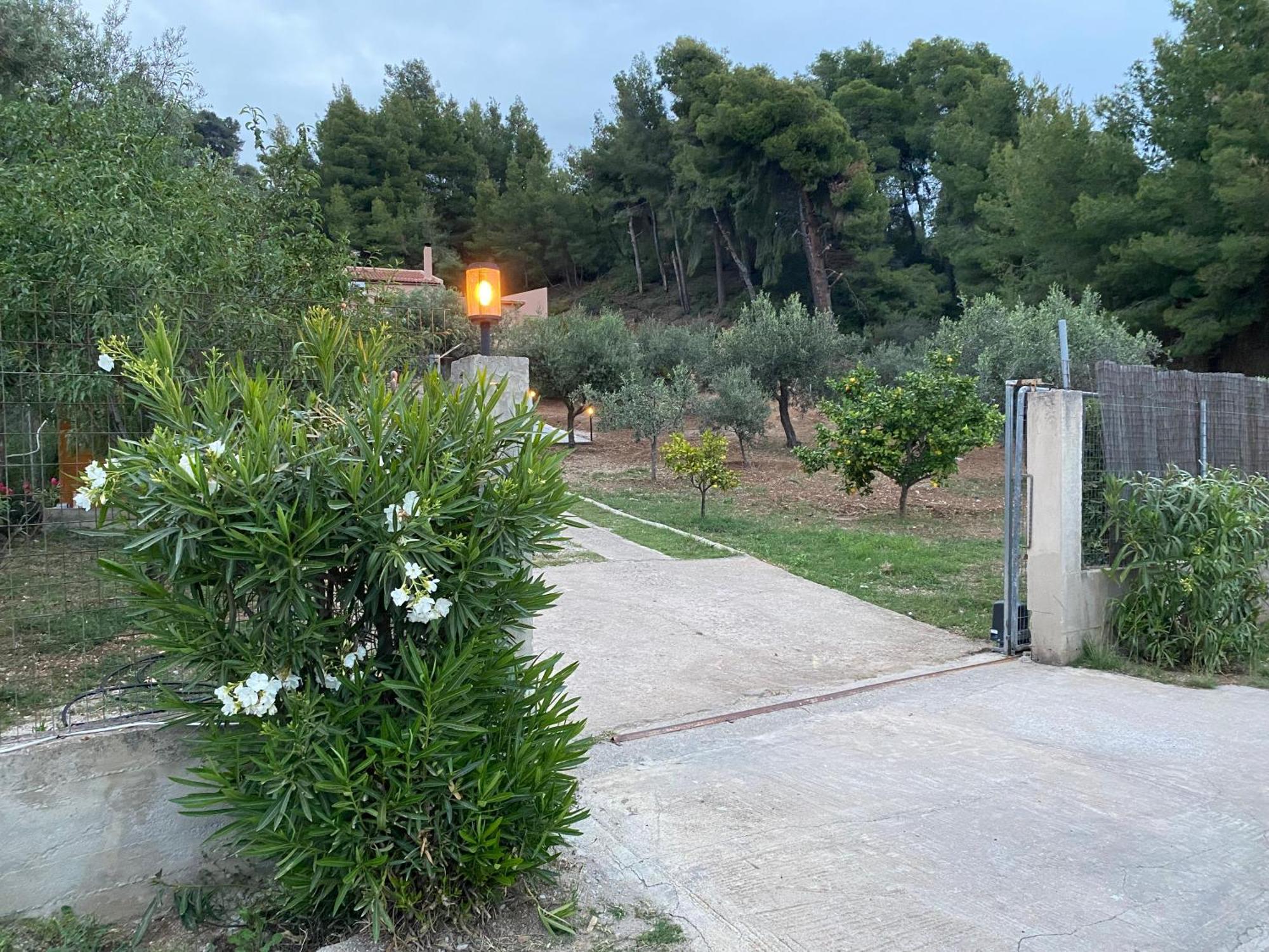 Askalosia Villa Agios Georgios (Istiaia-Aidipsos) Exterior foto