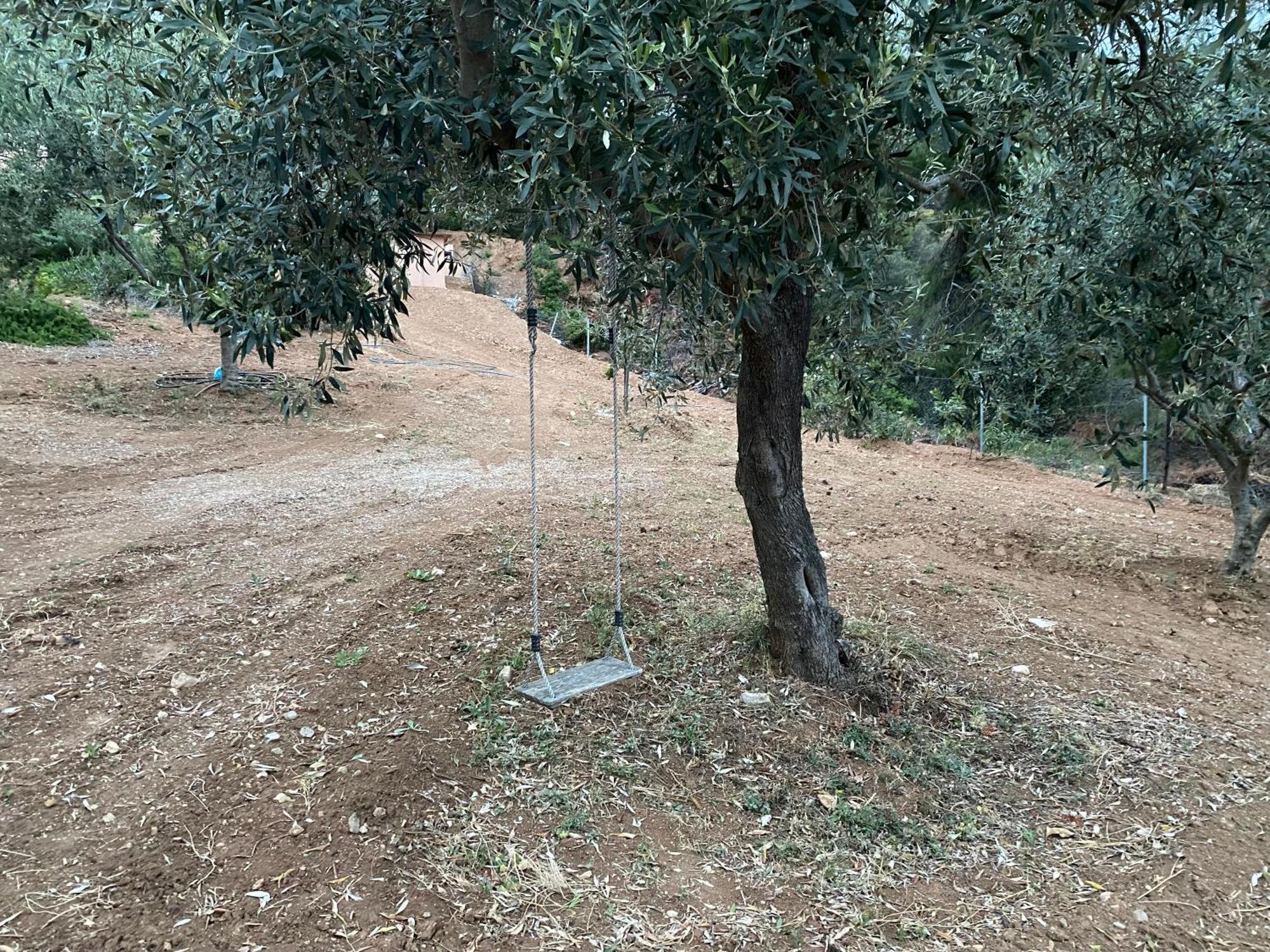 Askalosia Villa Agios Georgios (Istiaia-Aidipsos) Exterior foto