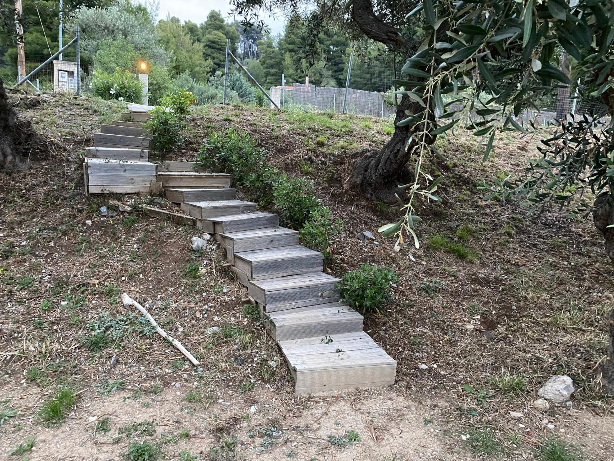 Askalosia Villa Agios Georgios (Istiaia-Aidipsos) Exterior foto
