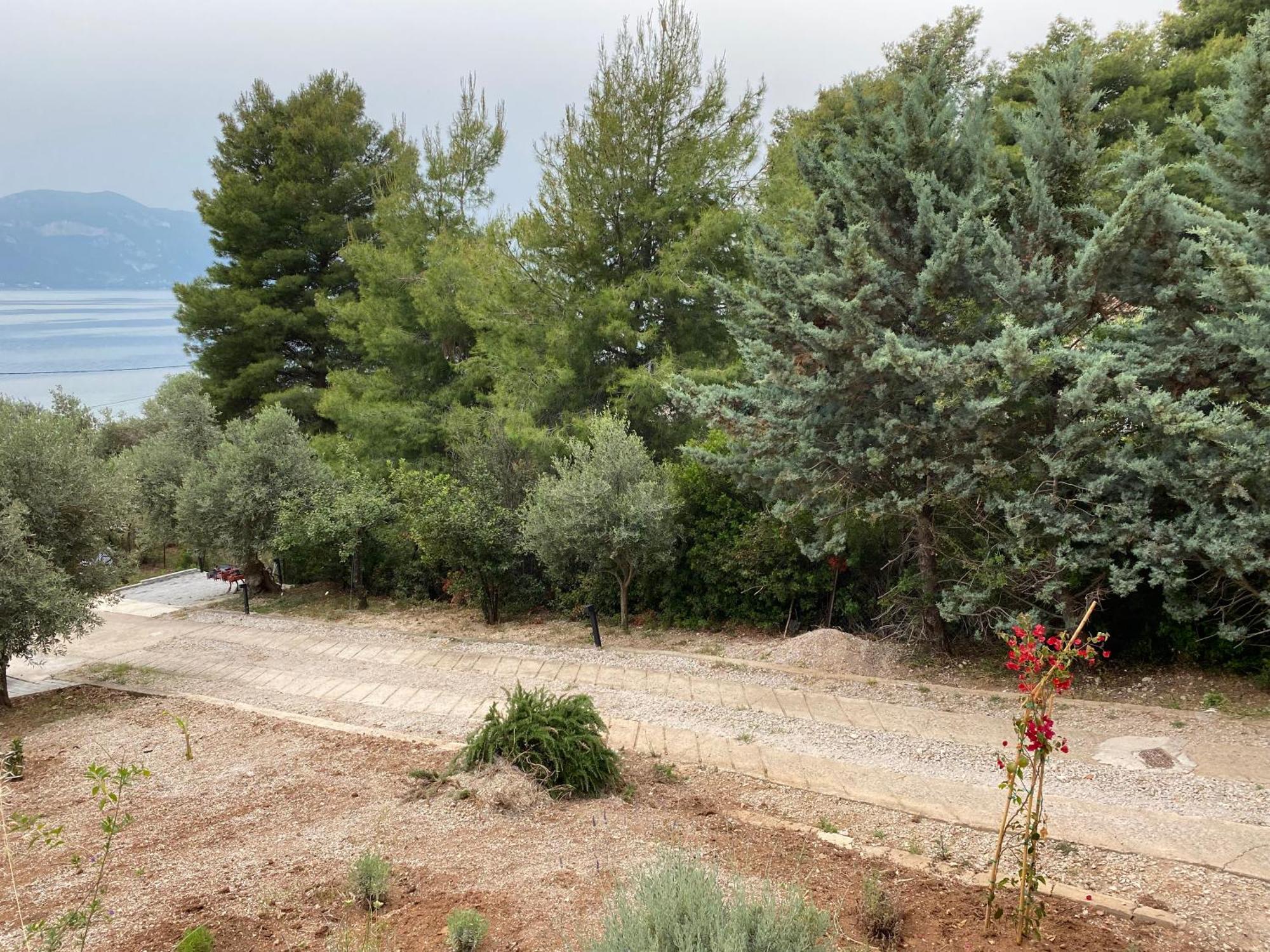 Askalosia Villa Agios Georgios (Istiaia-Aidipsos) Exterior foto