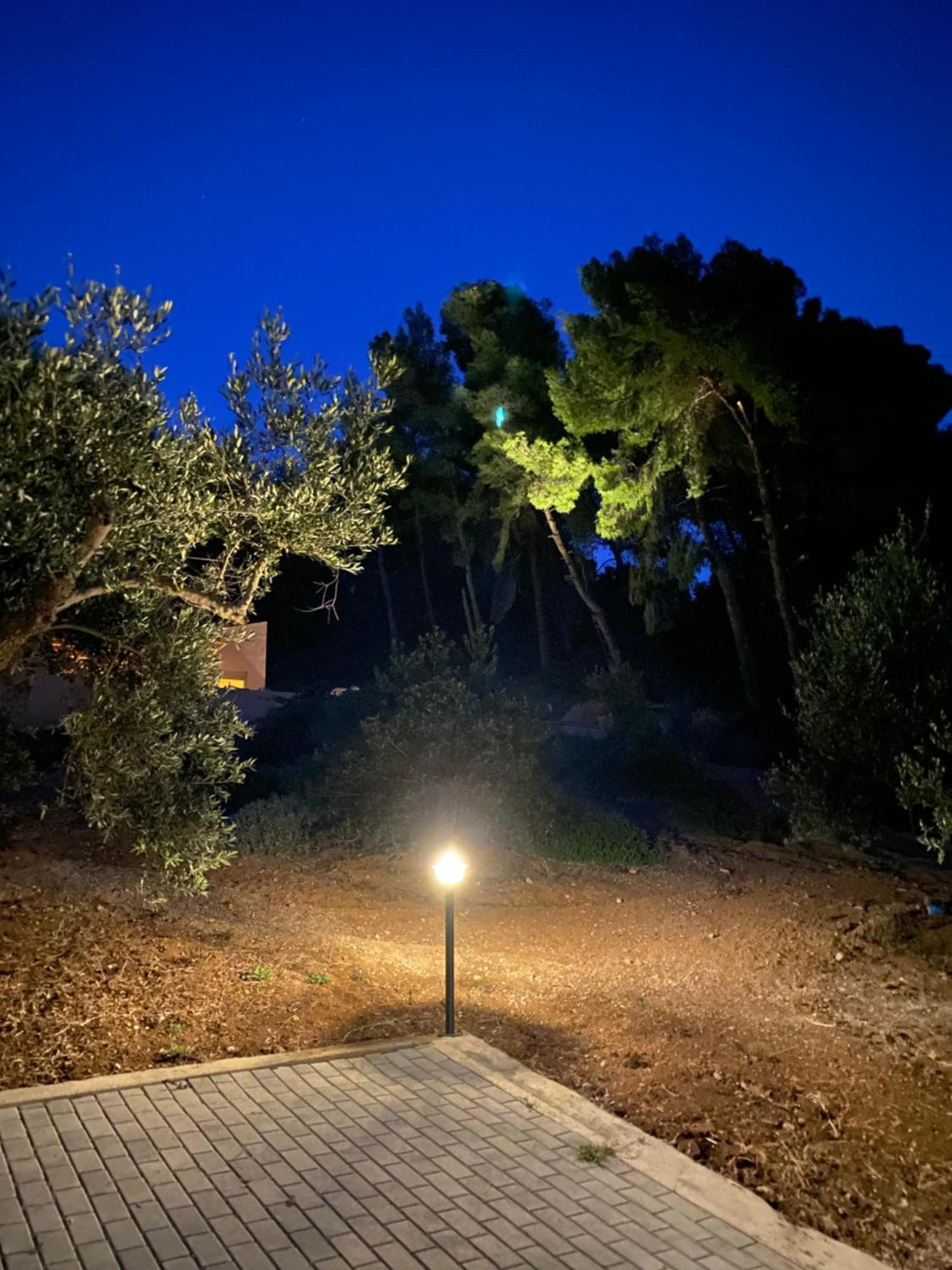 Askalosia Villa Agios Georgios (Istiaia-Aidipsos) Exterior foto