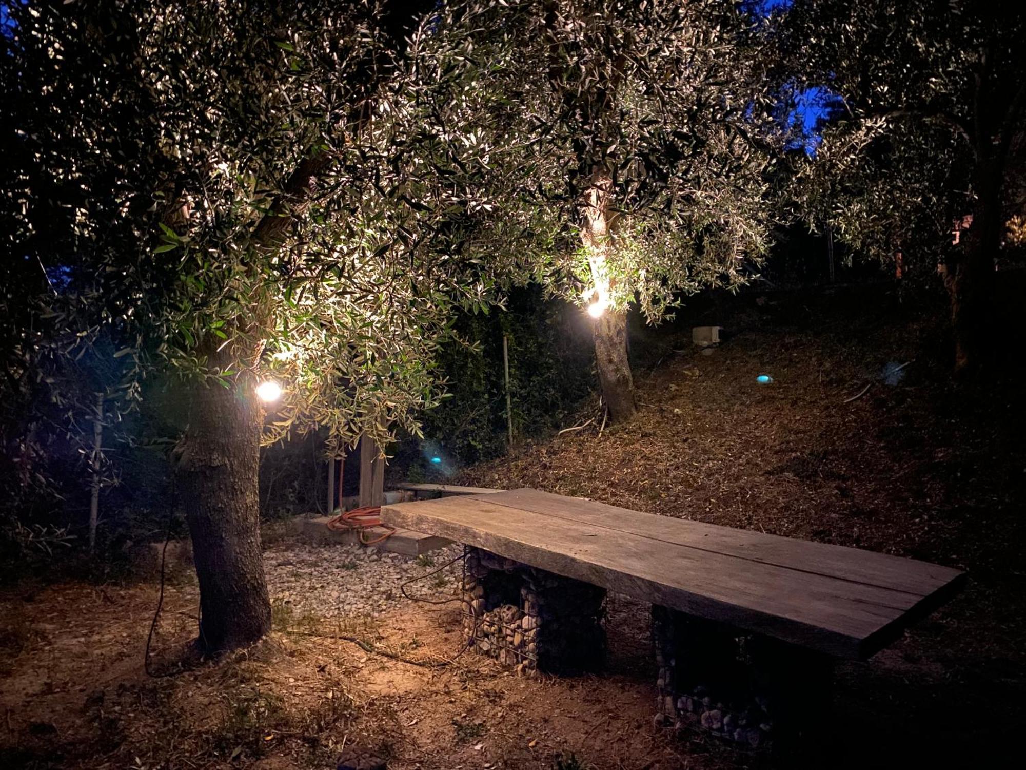 Askalosia Villa Agios Georgios (Istiaia-Aidipsos) Exterior foto